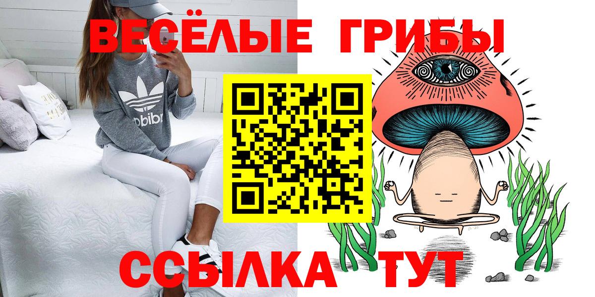 Галлюциногенные грибы ЛСД  Вход с VPN  Рассказово 